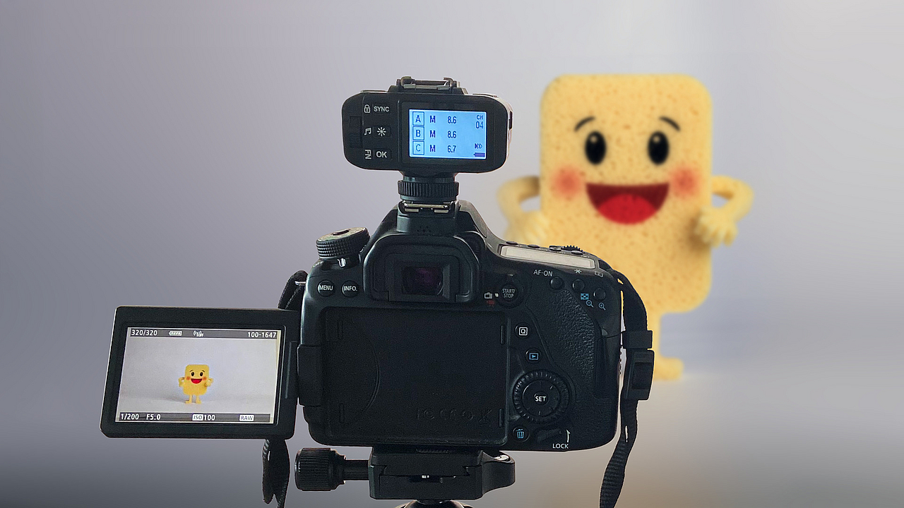 Fotoshooting des Maskottchens Pahlino